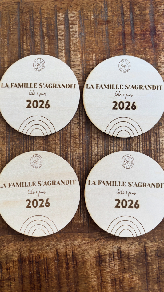 Lot de 4 disques Annonce Grossesse La famille s'agrandit